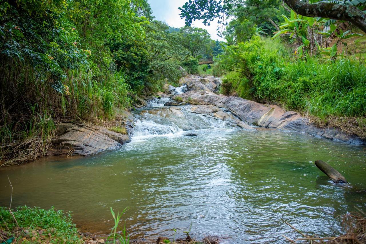 Ella Rock Grun Cottage ภายนอก รูปภาพ