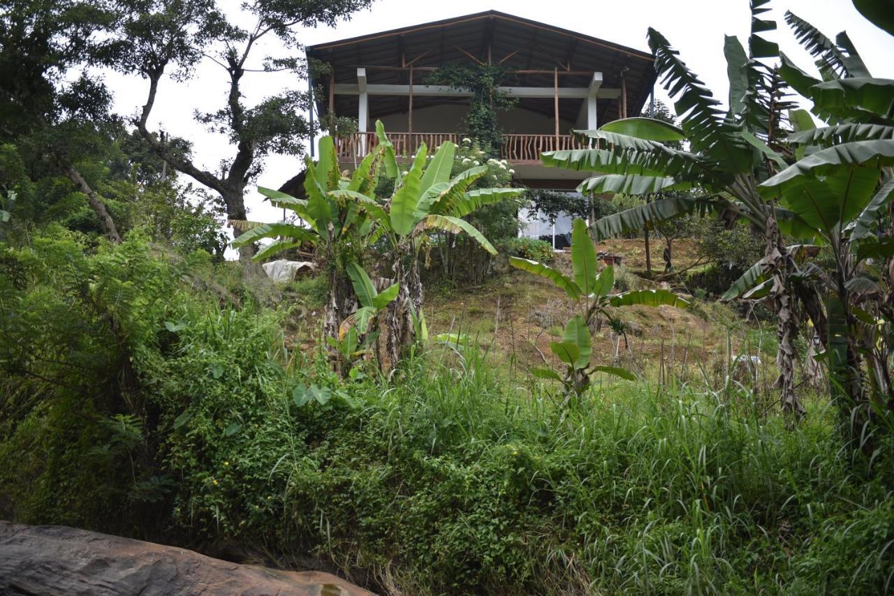 Ella Rock Grun Cottage ภายนอก รูปภาพ