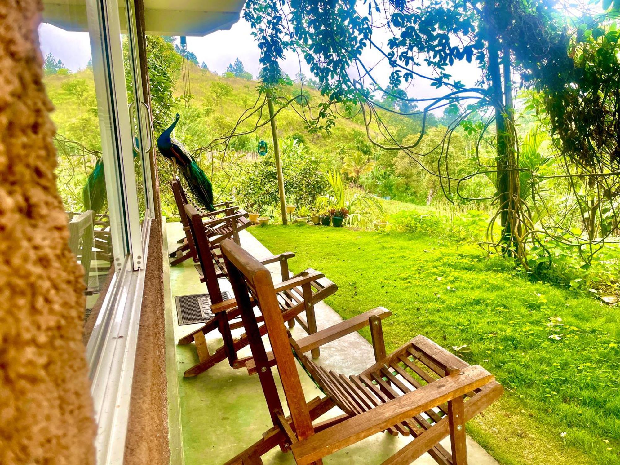 Ella Rock Grun Cottage ภายนอก รูปภาพ